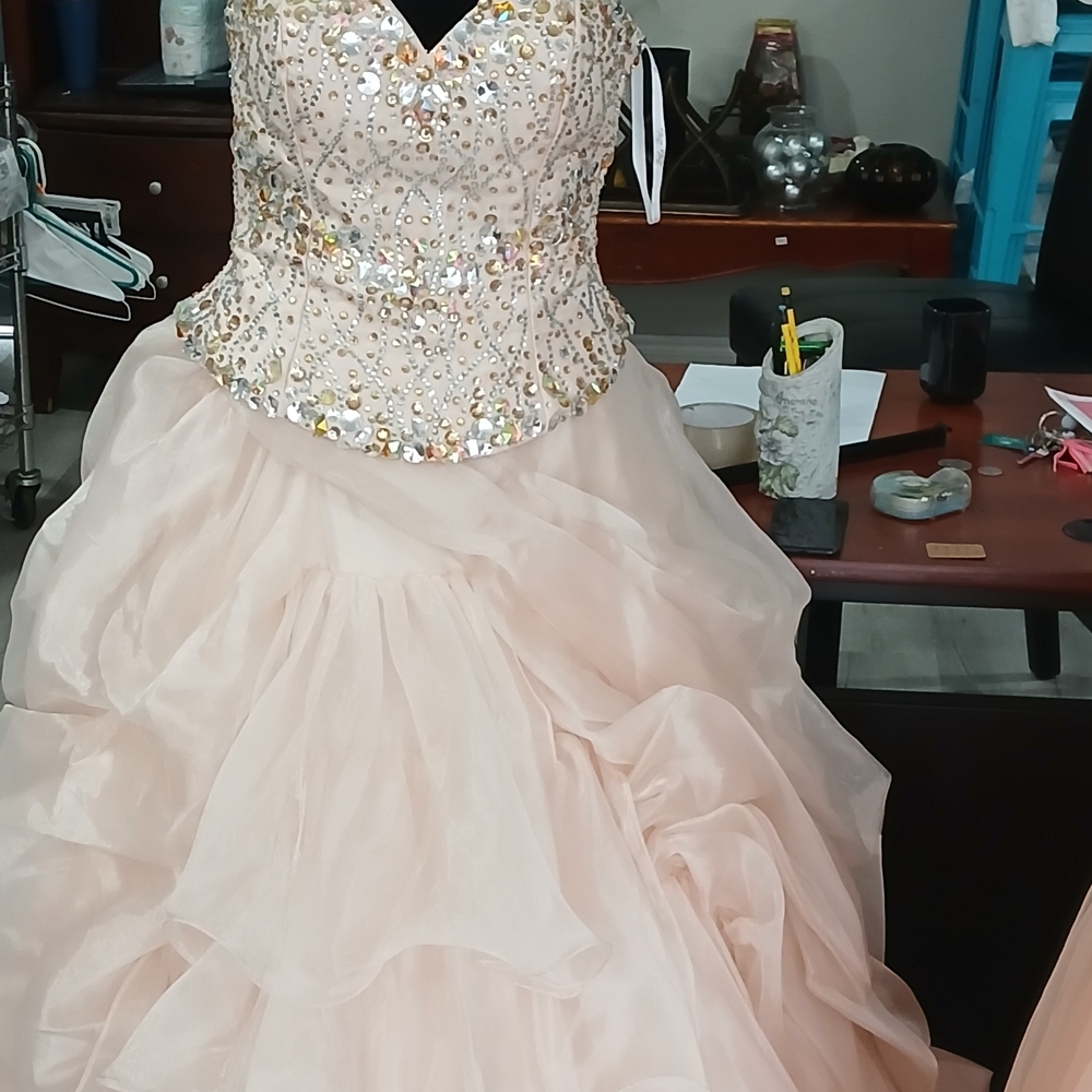 Disney Blush Sequin Gown